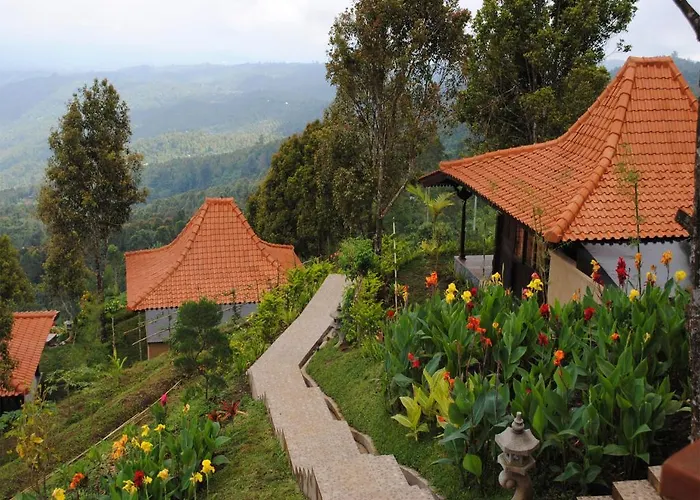 The Kasan Hill 2*
